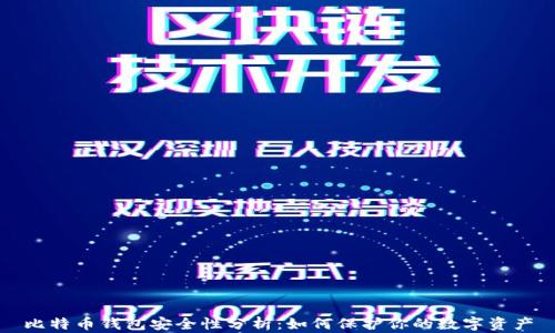 
比特币钱包安全性分析：如何保护你的数字资产