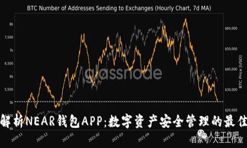 全面解析NEAR钱包APP：数字资产安全管理的最佳选择