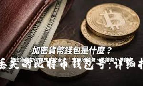 如何找回丢失的比特币钱包号：详细指南与技巧