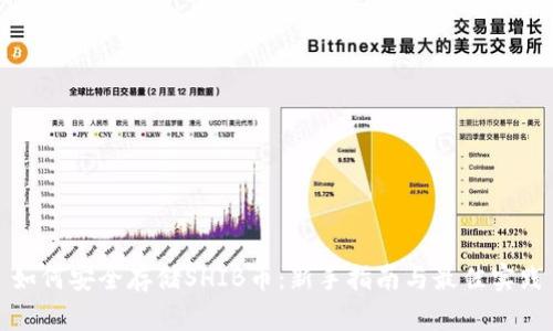 如何安全存储SHIB币：新手指南与最佳实践