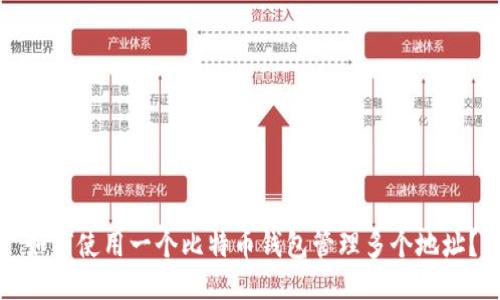 如何使用一个比特币钱包管理多个地址？