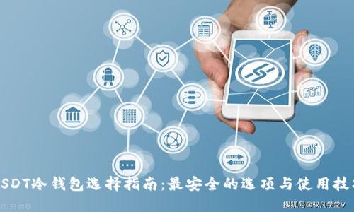 USDT冷钱包选择指南：最安全的选项与使用技巧