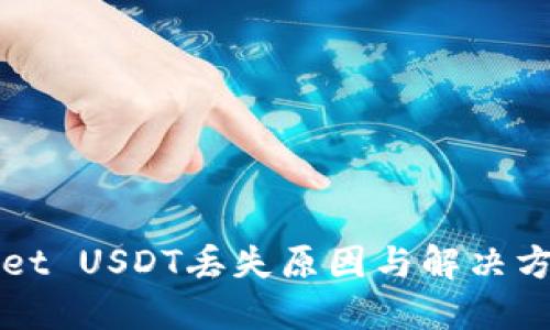 TPWallet USDT丢失原因与解决方案详解