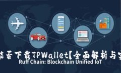 在美国能否下载TPWallet？全