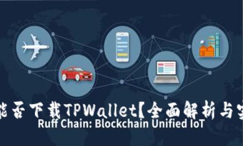 在美国能否下载TPWallet？全面解析与实用指南