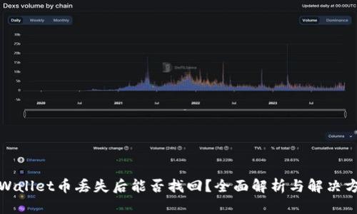 TPWallet币丢失后能否找回？全面解析与解决方案