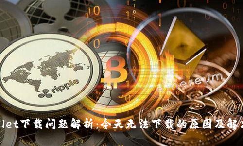 tpwallet下载问题解析：今天无法下载的原因及解决方案