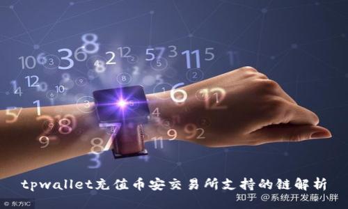 tpwallet充值币安交易所支持的链解析