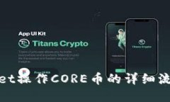 tpwallet操作CORE币的详细流