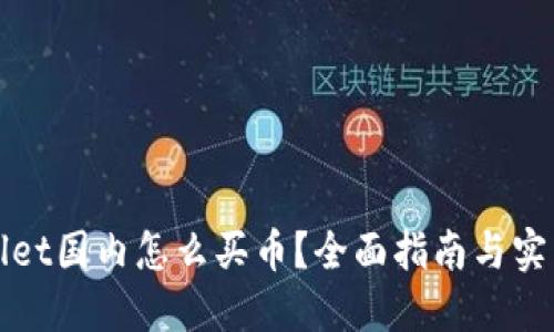 TPWallet国内怎么买币？全面指南与实用技巧