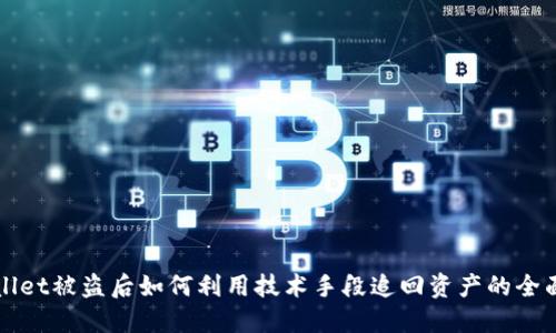 TPWallet被盗后如何利用技术手段追回资产的全面指南