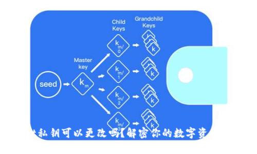 tpwallet私钥可以更改吗？解密你的数字资产安全之道