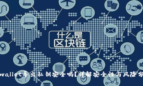 tpwallet导出私钥安全吗？详解安全性与风险分析
