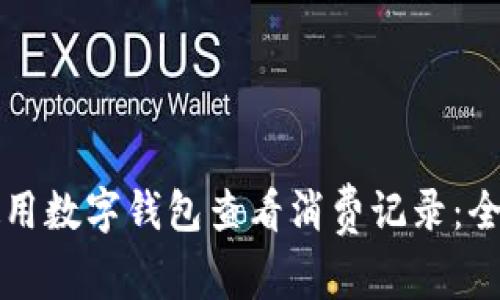 如何使用数字钱包查看消费记录：全面指南