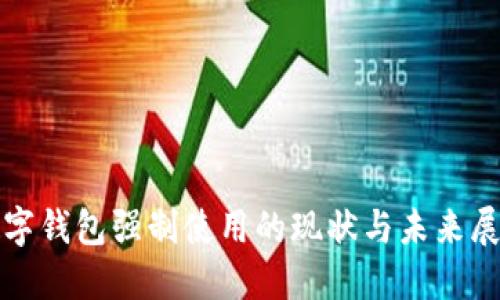 数字钱包强制使用的现状与未来展望