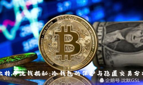 比特币洗钱揭秘：冷钱包的保护与隐匿交易分析