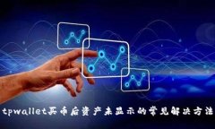 tpwallet买币后资产未显示的