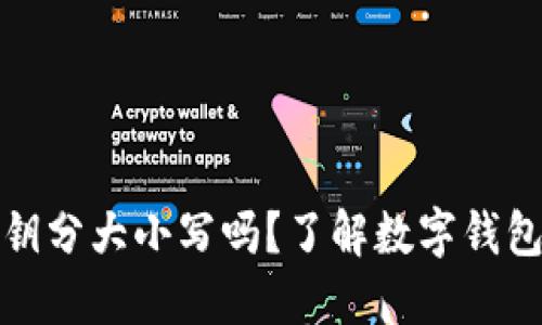 TPWallet私钥分大小写吗？了解数字钱包安全的关键