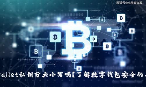 TPWallet私钥分大小写吗？了解数字钱包安全的关键