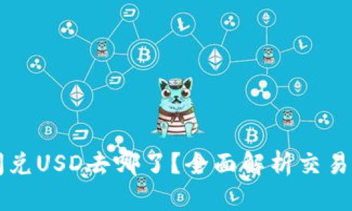 TPWallet闪兑USD去哪了？全面解析交易流向与机制
