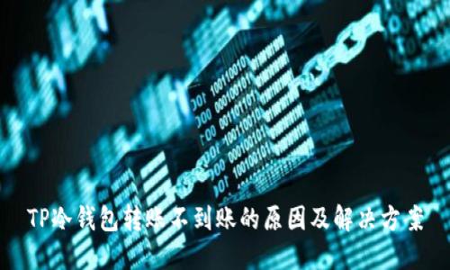 TP冷钱包转账不到账的原因及解决方案