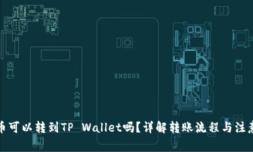 波场币可以转到TP Wallet吗？详解转账流程与注意事项