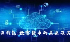 全面解析云钱包：数字货
