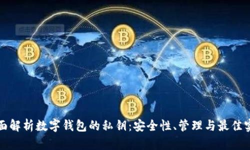 全面解析数字钱包的私钥：安全性、管理与最佳实践