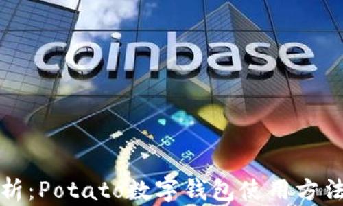 
全面解析：Potato数字钱包使用方法和技巧