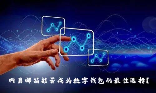 网易邮箱能否成为数字钱包的最佳选择？