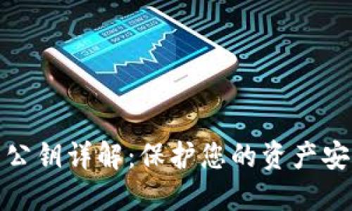数字钱包公钥详解：保护您的资产安全的基础
