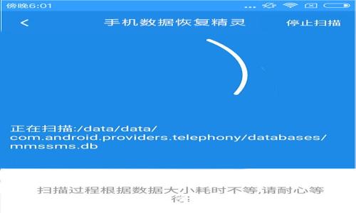 数字钱包的概述与特点：全面了解数字支付的未来