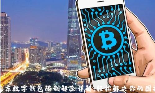 
京东数字钱包限制解除详解：轻松解决你的困扰