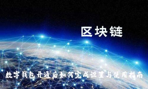 数字钱包开通后如何完成设置与使用指南