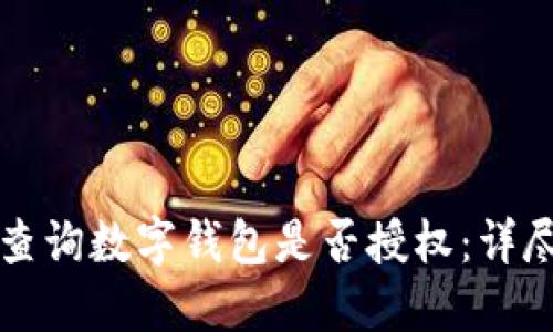 如何查询数字钱包是否授权：详尽指南