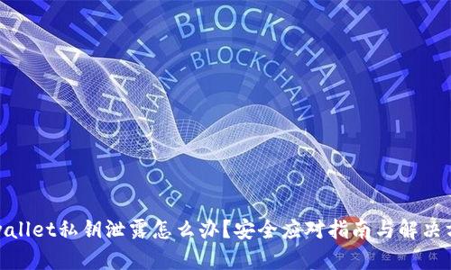 tpwallet私钥泄露怎么办？安全应对指南与解决方案