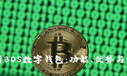 全面解析BDS数字钱包：功能、优势与使用指南