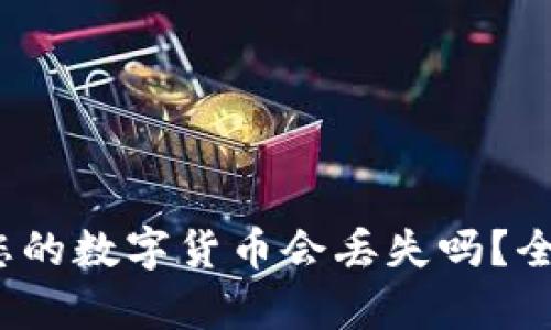 使用TPWallet时，您的数字货币会丢失吗？全面解析与安全指南