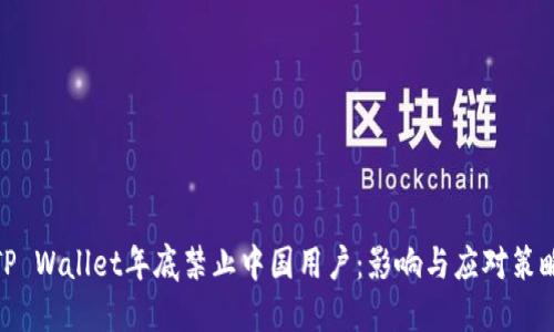 TP Wallet年底禁止中国用户：影响与应对策略
