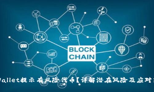 TPWallet提示有风险代币？详解潜在风险及应对策略