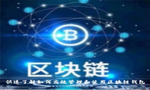 快速了解如何高效管理和使用区块链钱包