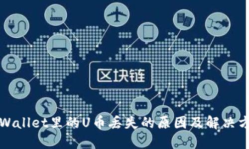 TPWallet里的U币丢失的原因及解决方案