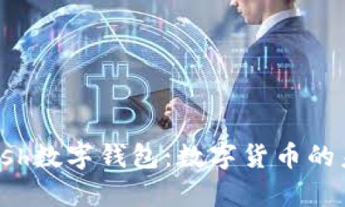 全面解析Vcash数字钱包：数字货币的未来与安全性