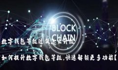 数字钱包等级过低怎么升