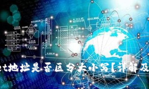  TPWallet地址是否区分大小写？详解及注意事项