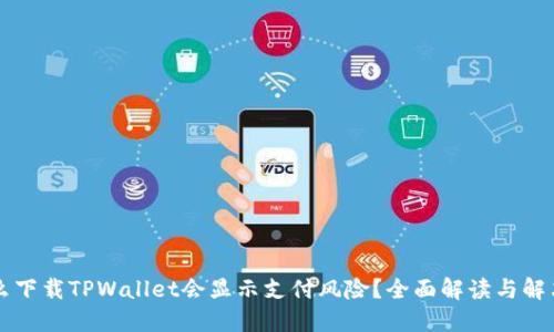 为什么下载TPWallet会显示支付风险？全面解读与解决方案