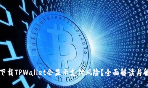 为什么下载TPWallet会显示支付风险？全面解读与解决方案