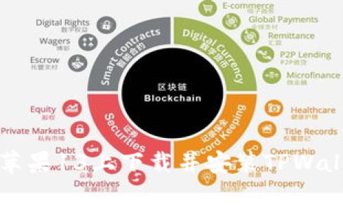 如何在苹果13上下载并安装TPWallet应用
