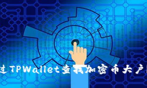 : 如何通过TPWallet查找加密币大户？全面指南
