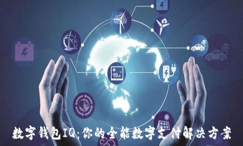   
数字钱包IQ：你的全能数字支付解决方案